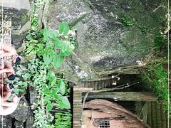 -海南槟榔谷黎苗文化旅游区
