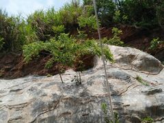 -桂缘味道·武夷乡土农家老味道