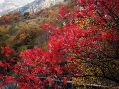 -叠溪松坪沟景区