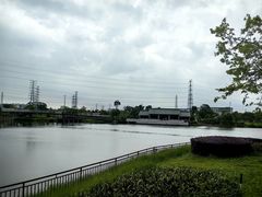 -王借岗森林公园