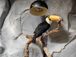 -Zoolung Zoolung动物主题公园(海信广场店)