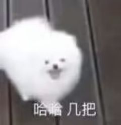点击看大图 -艺流造型