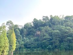 -三水森林公园