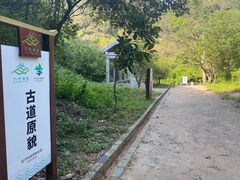 -羚羊峡古栈道森林公园