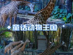 -长鹿旅游休博园