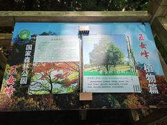 -五女峰国家森林公园