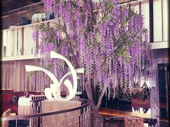 -金轩中餐厅 Jin Xuan(浦东丽思卡尔顿酒店)