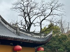 -龙华寺