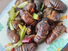-那家老院子东北菜·饺子·小鸡炖蘑菇(艳华街店)