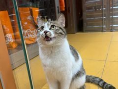 -MARSMART PETS火星宠物超市(1733店)