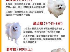-申普宠物医院·心脏介入·心血管微创(总院)