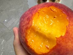 -宠福鑫康馨动物医院·骨科·眼科
