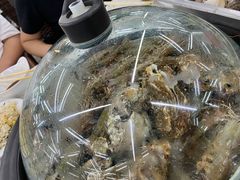 -海岸风情蒸汽海鲜自助餐厅(家宴金手勺店)