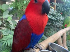 -南宫五洲植物乐园