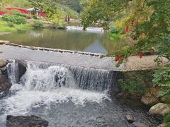 -广州市石门国家森林公园