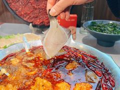 -渝大龙重庆火锅(温泉月亮湾店)