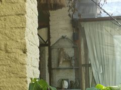 -Jo's Garden