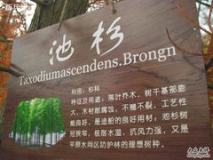 -溱湖国家湿地公园