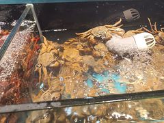 -苏格里岛自助烤肉海鲜火锅(成都金牛万达店)