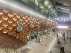 -英迪拉·甘地国际机场