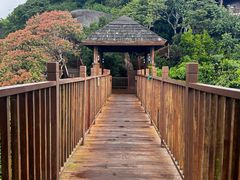 -三亚亚龙湾人间天堂鸟巢度假村