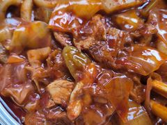 -天使宠物医院·犬猫分诊(彩虹店)