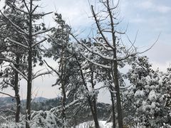 -天目湖涵田半山温泉