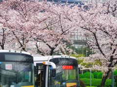 -上海南浦大桥长途旅游客运站