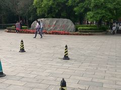 -杨柳青庄园