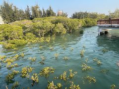 -宝安西湾红树林湿地公园