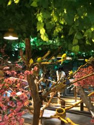 -酷嗒动物文化乐园(cutezoo西溪乐天城店)