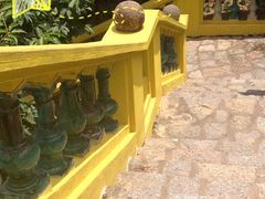 很有特色的阶梯-二龙喉公园