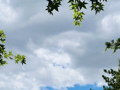 -北京西山国家森林公园