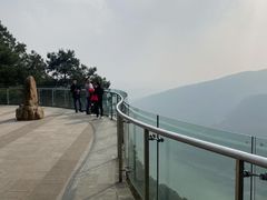 -铁山坪森林公园