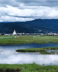 -纳帕海依拉草原