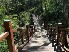 -大岭沟猕猴桃谷风景区