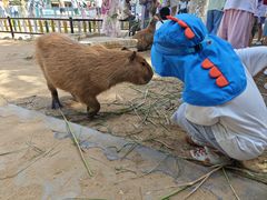 -西霞口神雕山野生动物世界
