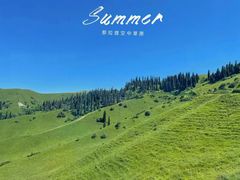 -新疆那拉提国家旅游度假区
