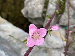 -贵阳市花溪国家城市湿地公园