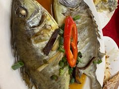 -蛇口康乐快餐鱼仔档(翠苑小区店)