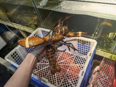 -船奇蒸汽海鲜·闽菜(八市海鲜总店)