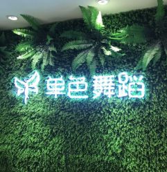 -单色舞蹈