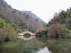 -黔灵山公园