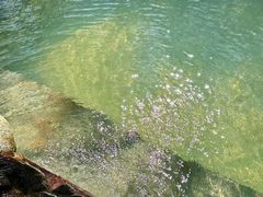 -三江森林温泉度假区