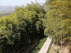 -良渚古城遗址公园