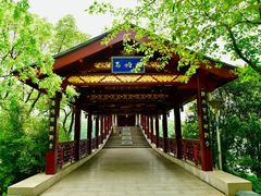 -长广溪湿地公园