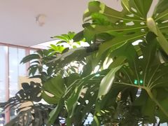 -桂满陇·蟹黄小笼汤包(中山公园店)