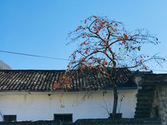 -塔川景区