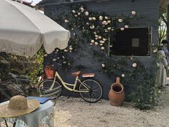 -上海鲜花港