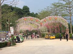 -田野绿世界